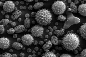 Cómo prevenir problemas medioambientales y de salud en las plantas industriales causados por los sistemas de freno